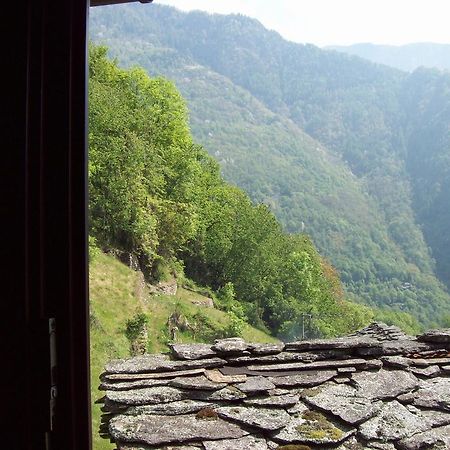 Appartamentino Nel Bosco Sondrio Exterior foto