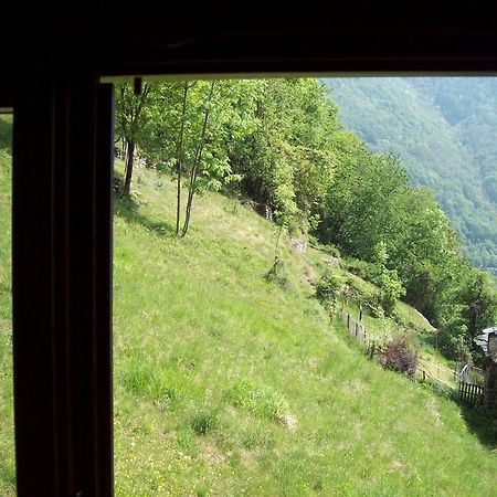 Appartamentino Nel Bosco Sondrio Exterior foto
