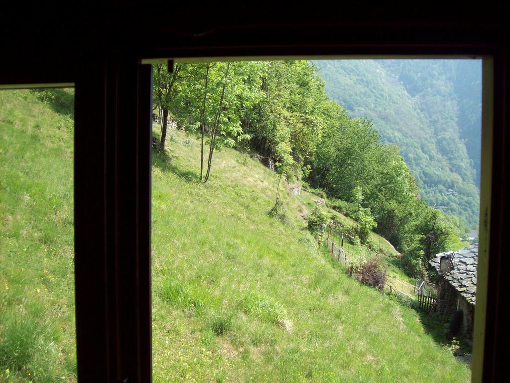 Appartamentino Nel Bosco Sondrio Exterior foto